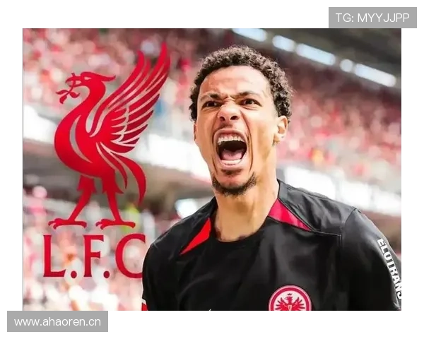 德甲夏窗球员交易